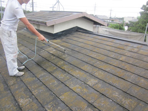 屋根バイオ洗浄剤 散布