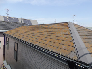 屋根の汚染