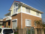 01.jpg