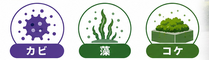 内陸部の特性