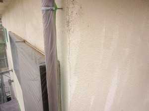 新規のひび割れ