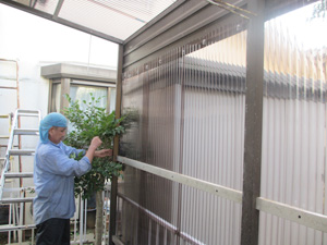 物置屋根壁、波板取付け