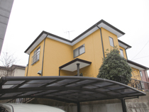 プラン5黄色系で