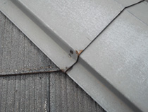 釘打ち直し完成