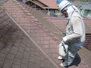 屋根　バイオ洗浄剤散布　作業風景