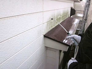 バイオ洗浄剤散布(壁)