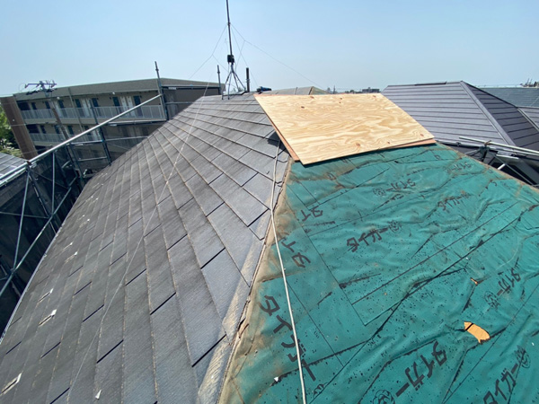 20200918blog-6.jpg