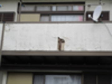 バルコニー壁面改修工事