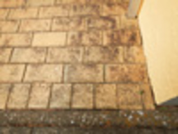 インターロッキングへのデモ洗浄