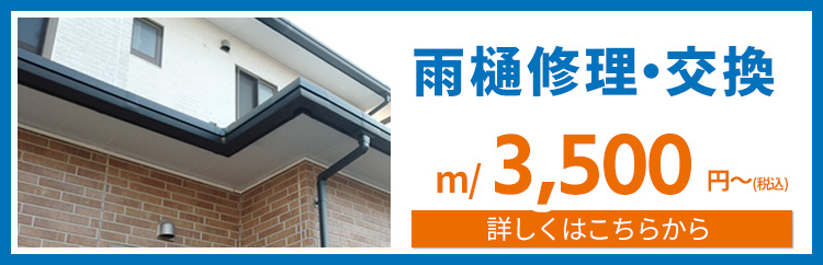 雨樋の修理・交換工事について