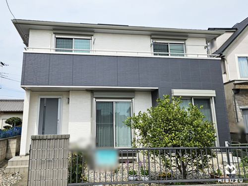 pg17042-koe04.jpg