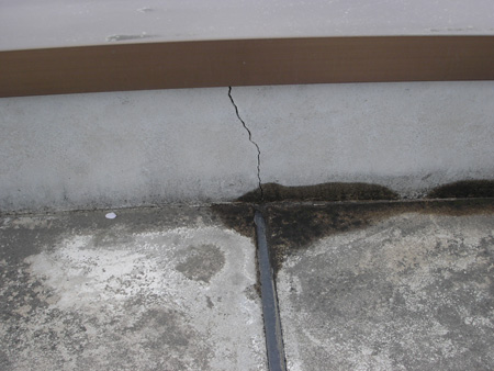 20091215c03.jpg
