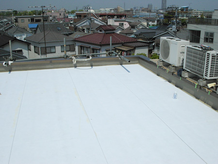 20091215c05.jpg