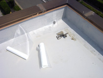 20091215d011.jpg