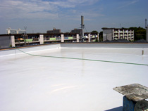 20091215d012.jpg