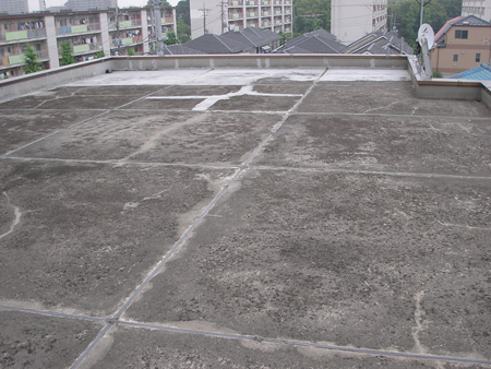 20091215d02.jpg