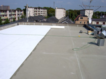 20091215d06.jpg