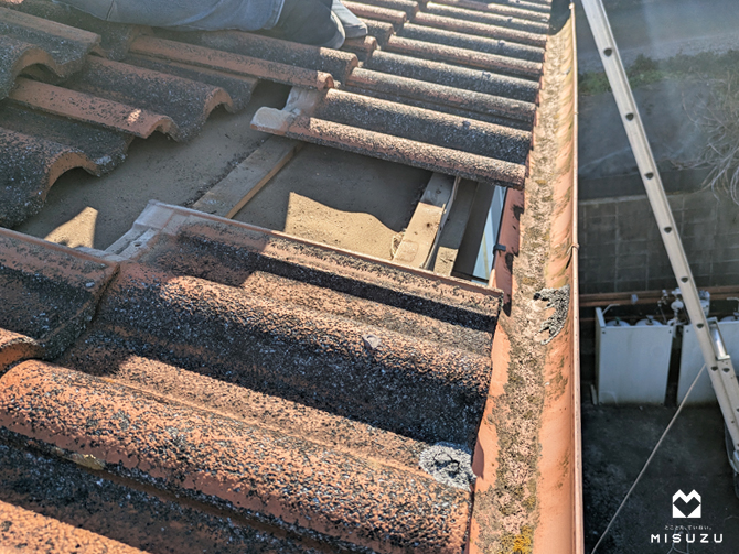 pg1065-8.jpg
