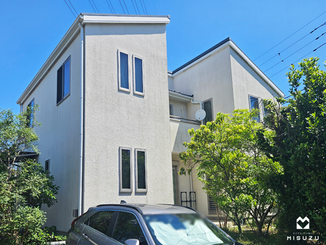 pg1078-3.jpg