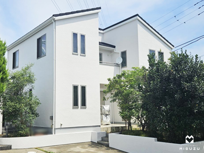 pg1078-4.jpg